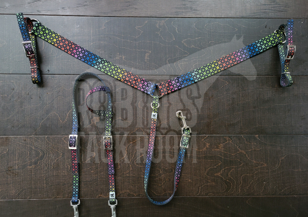 Classic rainbow headstall and breastcollar and wither strap