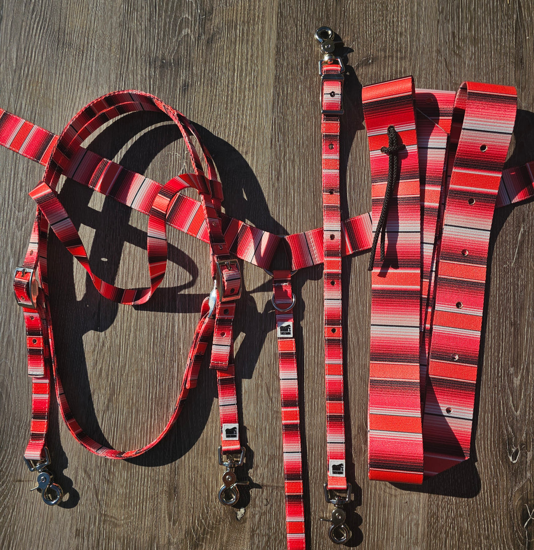 Red serape tack set