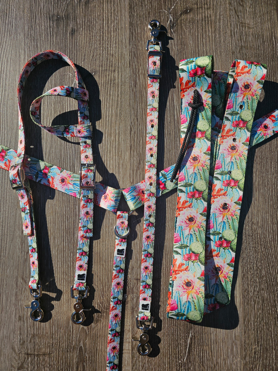 Cactus tack set