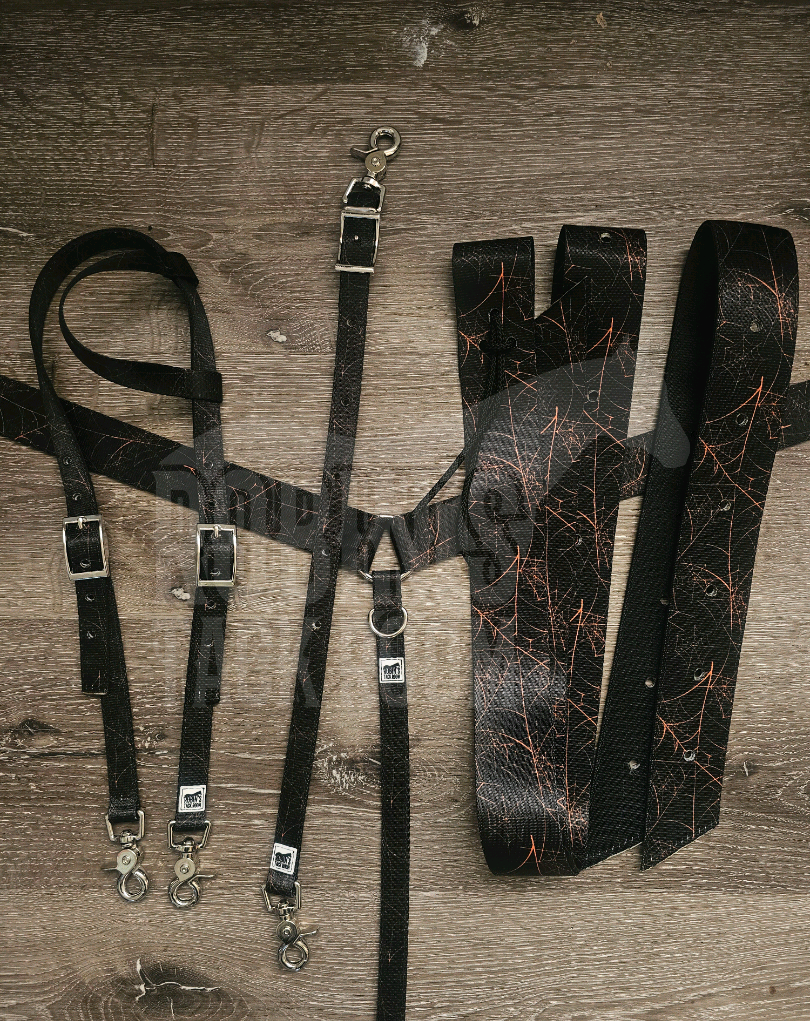 Orange spider webb tack set