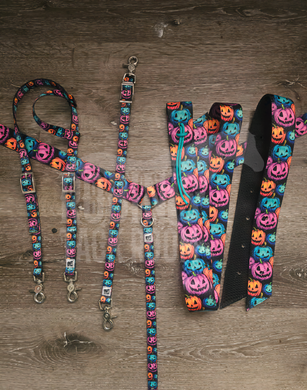 Colorful pumpkins tack set