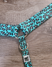 Load image into Gallery viewer, Turquoise cheetah breastcollar
